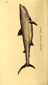 n473_w1150