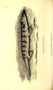 n451_w1150