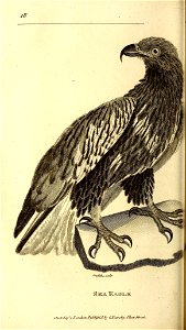 n143_w1150