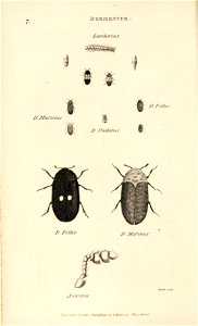 n69_w1150