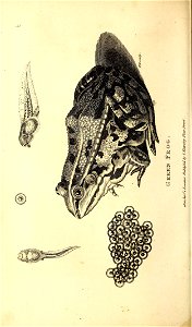 n177_w1150