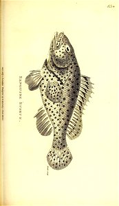 n618_w1150