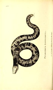 n885_w1150