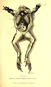n174_w1150