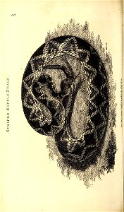 n533_w1150