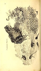 n167_w1150