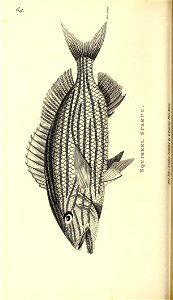 n601_w1150