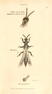 n352_w1150