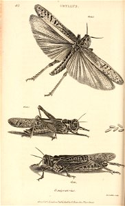 n249_w1150