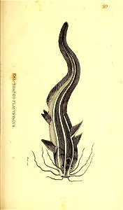 n62_w1150