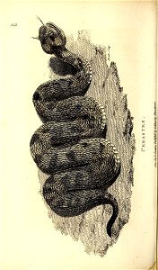 n613_w1150