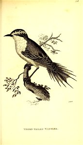 n858_w1150