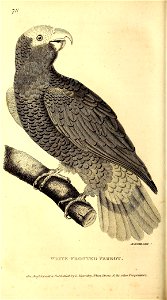 n699_w1150