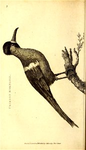 n59_w1150