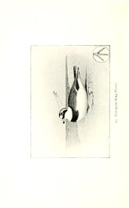 n297_w1150