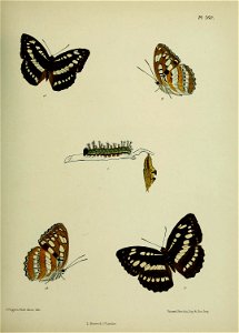 n406_w1150