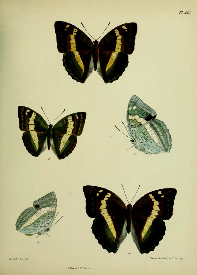 n376_w1150