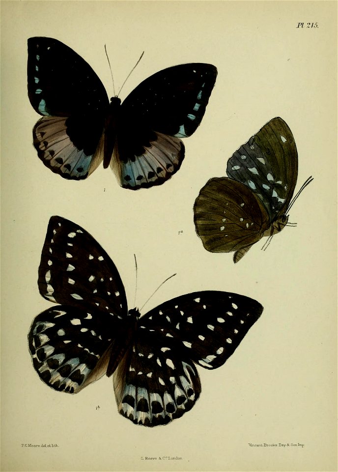 n316_w1150
