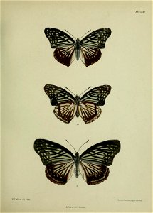 n286_w1150