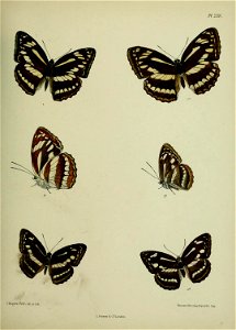 n404_w1150