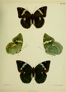 n374_w1150