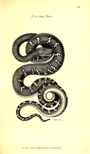 n558_w1150