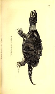 n122_w1150