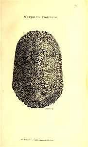 n48_w1150