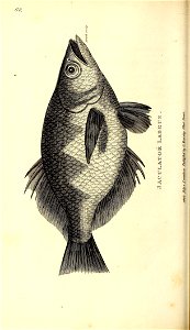 n657_w1150