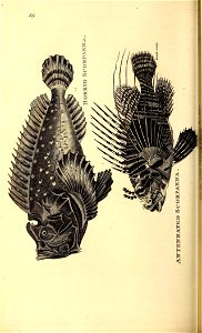 n379_w1150