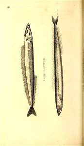 n113_w1150