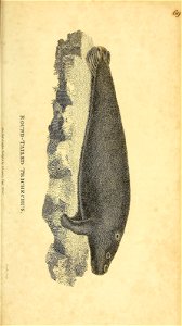n408_w1150