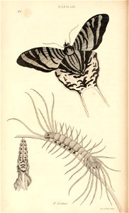 n375_w1150