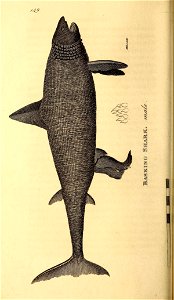 n469_w1150