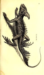 n344_w1150