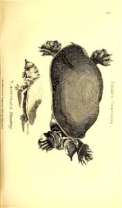 n110_w1150