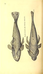 n367_w1150