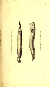 n96_w1150