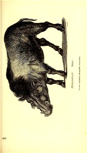 n692_w1150