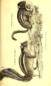 n214_w1150