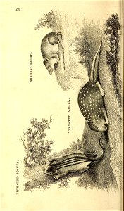n103_w1150