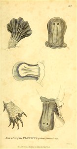 n388_w1150