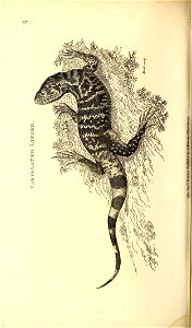 n393_w1150