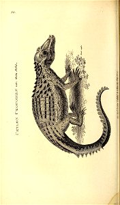 n317_w1150