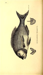 n593_w1150