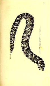 n48_w1150