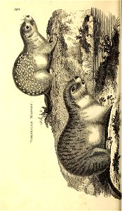 n185_w1150