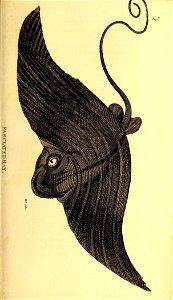 n416_w1150