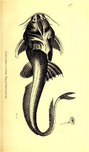 n58_w1150
