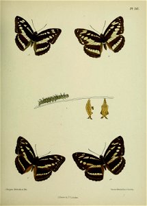 n408_w1150